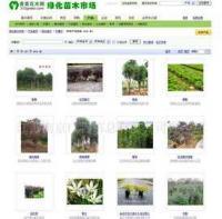 專業企業網頁設計與維護服務 構建數字化形象，驅動業務增長